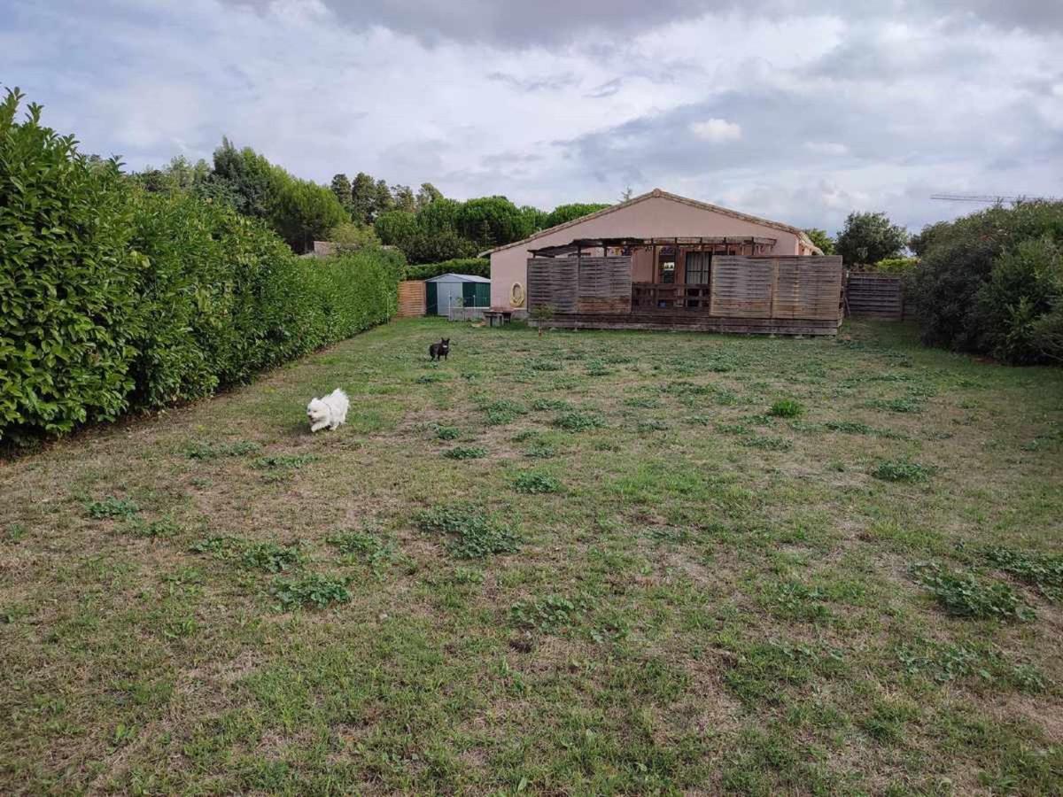 Le Cosy Occitan Chaleureuse Independante Baignoire Terrasse Jardin *