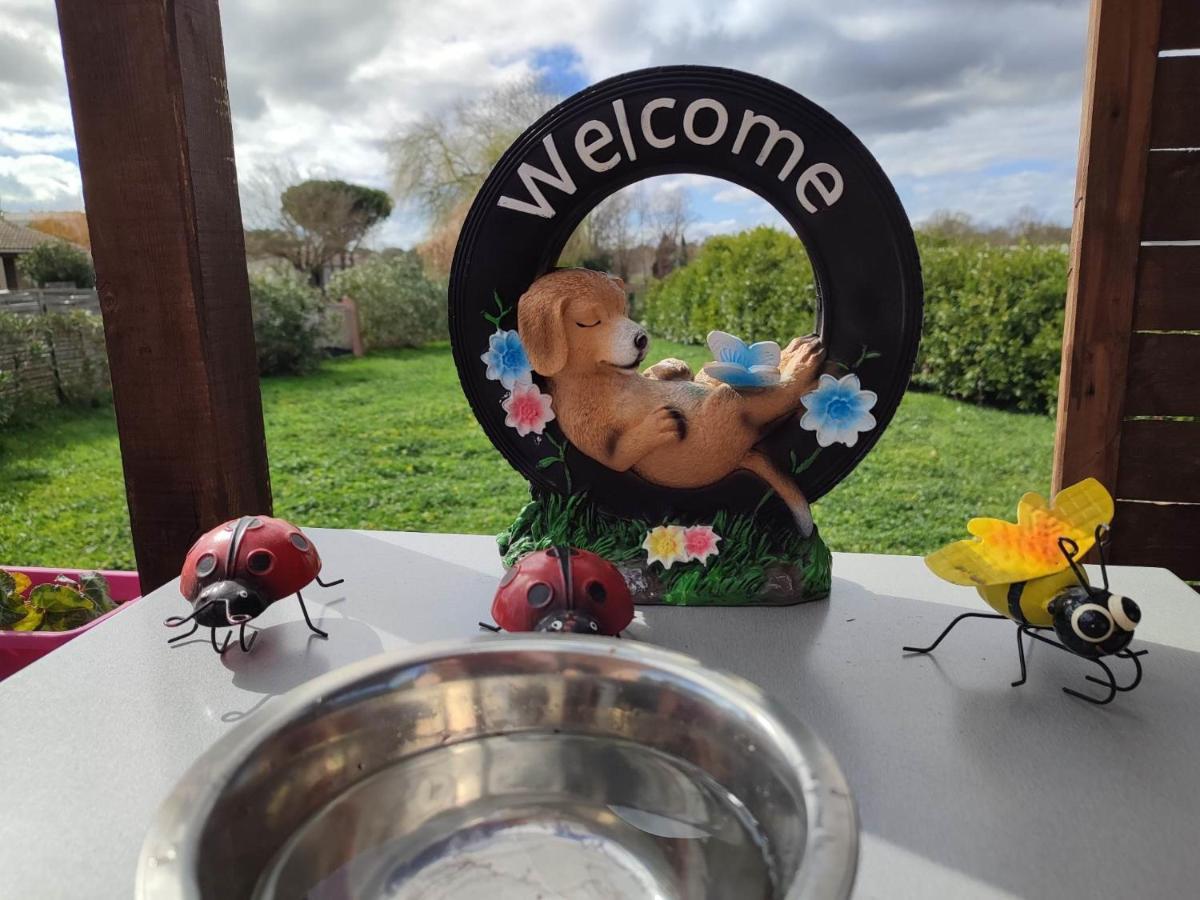 Holiday home Le Cosy Occitan Chaleureuse Independante Baignoire Terrasse Jardin Carcassonne